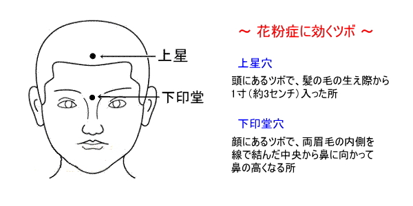 花粉症の「鼻詰まり」を軽減